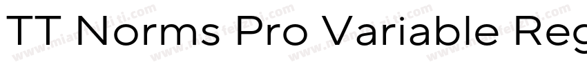 TT Norms Pro Variable Regular字体转换
